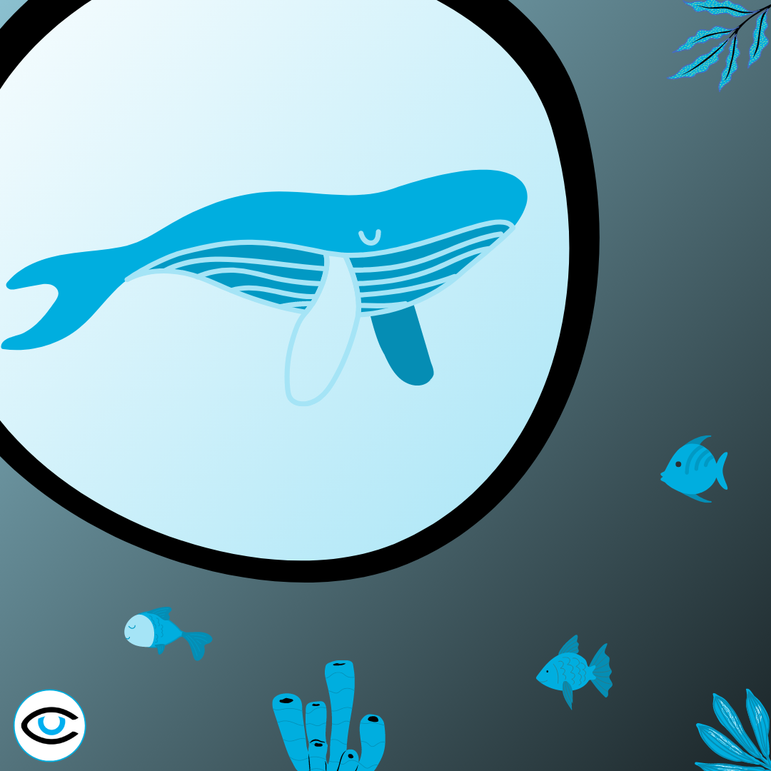 You Know About Phishing, But What Is Whaling And Why Do You Need To Know About It?